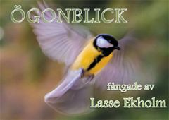 Ögonblick