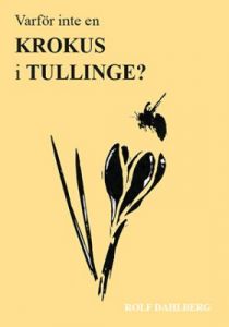 Varför inte en krokus i Tullinge?