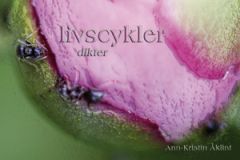 livscykler
