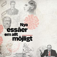 Nya essäer om allt möjligt av Johan Frostegård