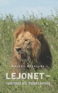 Lejonet- savannens och mytens konung