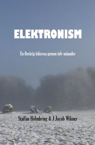 Elektronism