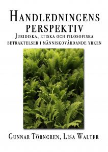 Handledningens perspektiv